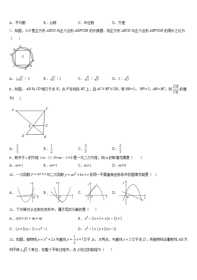 山东省新泰市实验中学2023-2024学年九上数学期末学业水平测试模拟试题含答案02