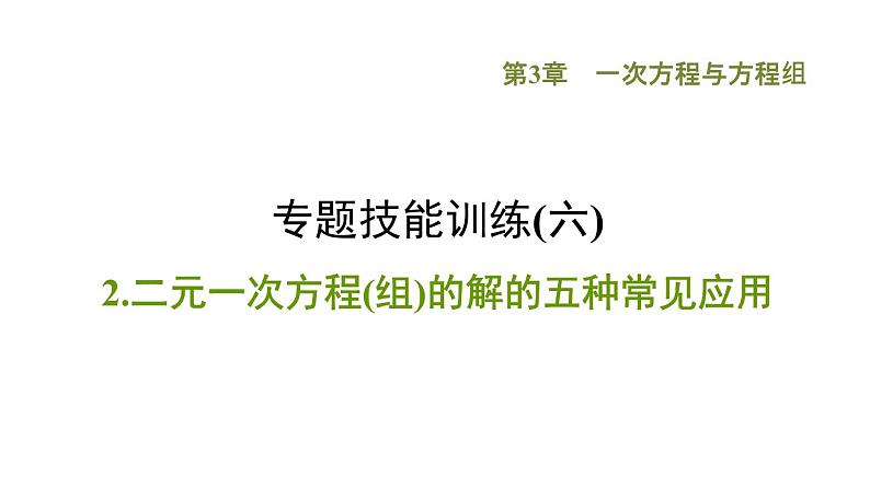 第3章 专题技能训练(六)2二元一次方程(组)的解的五种常见应用课件PPT第1页