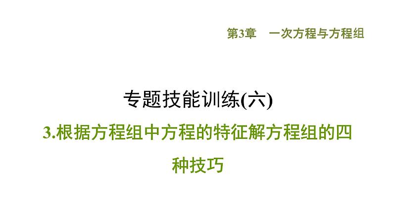 第3章 专题技能训练(六)3根据方程组中方程的特征解方程组的四种技巧课件PPT第1页