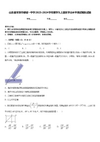 山东省菏泽市郓城一中学2023-2024学年数学九上期末学业水平测试模拟试题含答案