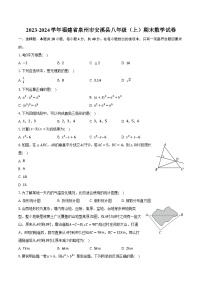 2023-2024学年福建省泉州市安溪县八年级（上）期末数学试卷（含解析）