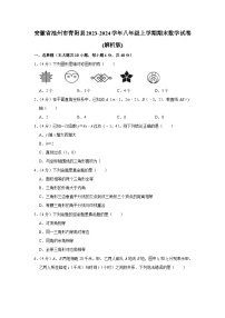 安徽省池州市青阳县2023-2024学年八年级上学期期末数学试卷+