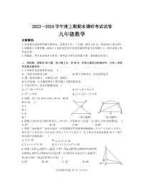 河南省信阳市光山县2023-2024学年九年级上学期1月期末数学试题