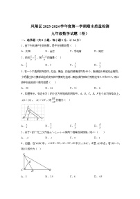 2023-2024学年陕西省宝鸡市凤翔区九年级（上）学期期末数学试题（含解析）