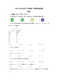 2023-2024学年河北省保定市安新县八年级（上）学期期末数学试题（含解析）