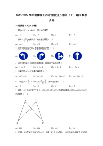 2023-2024学年湖南省长沙市望城区八年级（上）学期期末数学试题（含解析）