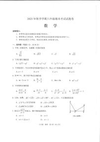 湖南省邵阳市隆回县2023-2024学年八年级上学期1月期末数学试题