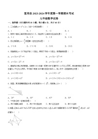 安徽省六安市霍邱县2023-2024学年九年级上学期期末数学试题