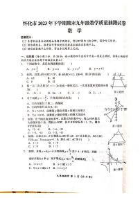 湖南省怀化市2023-2024学年九年级上学期1月期末数学试题(2)