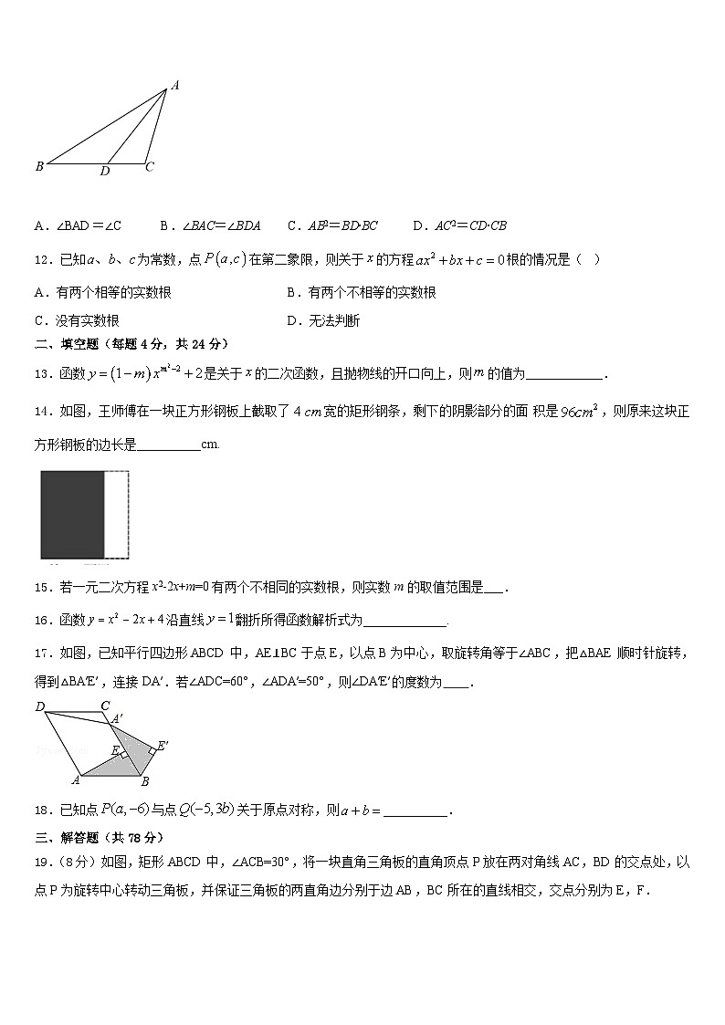 广州市越秀区知用中学2023-2024学年数学九上期末综合测试试题含答案03