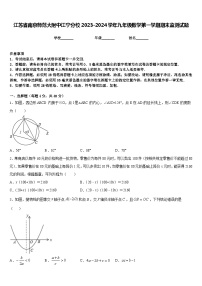 江苏省南京师范大附中江宁分校2023-2024学年九年级数学第一学期期末监测试题含答案