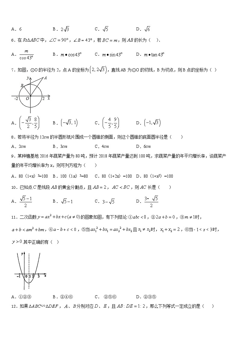 江苏省泰兴市黄桥东区域2023-2024学年九上数学期末复习检测试题含答案02