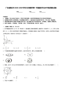 广东省肇庆市2023-2024学年九年级数学第一学期期末学业水平测试模拟试题含答案