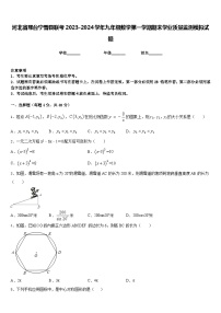 河北省邢台宁晋县联考2023-2024学年九年级数学第一学期期末学业质量监测模拟试题含答案