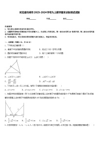 河北省沧州市2023-2024学年九上数学期末达标测试试题含答案