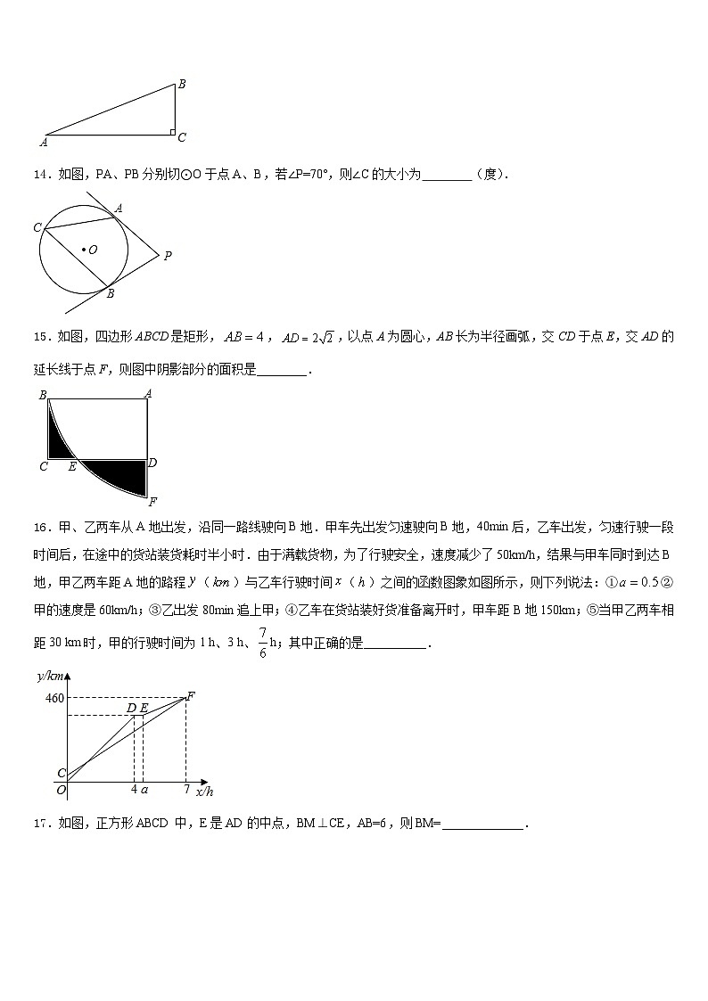 河北省邯郸市大名县2023-2024学年数学九年级第一学期期末复习检测模拟试题含答案03