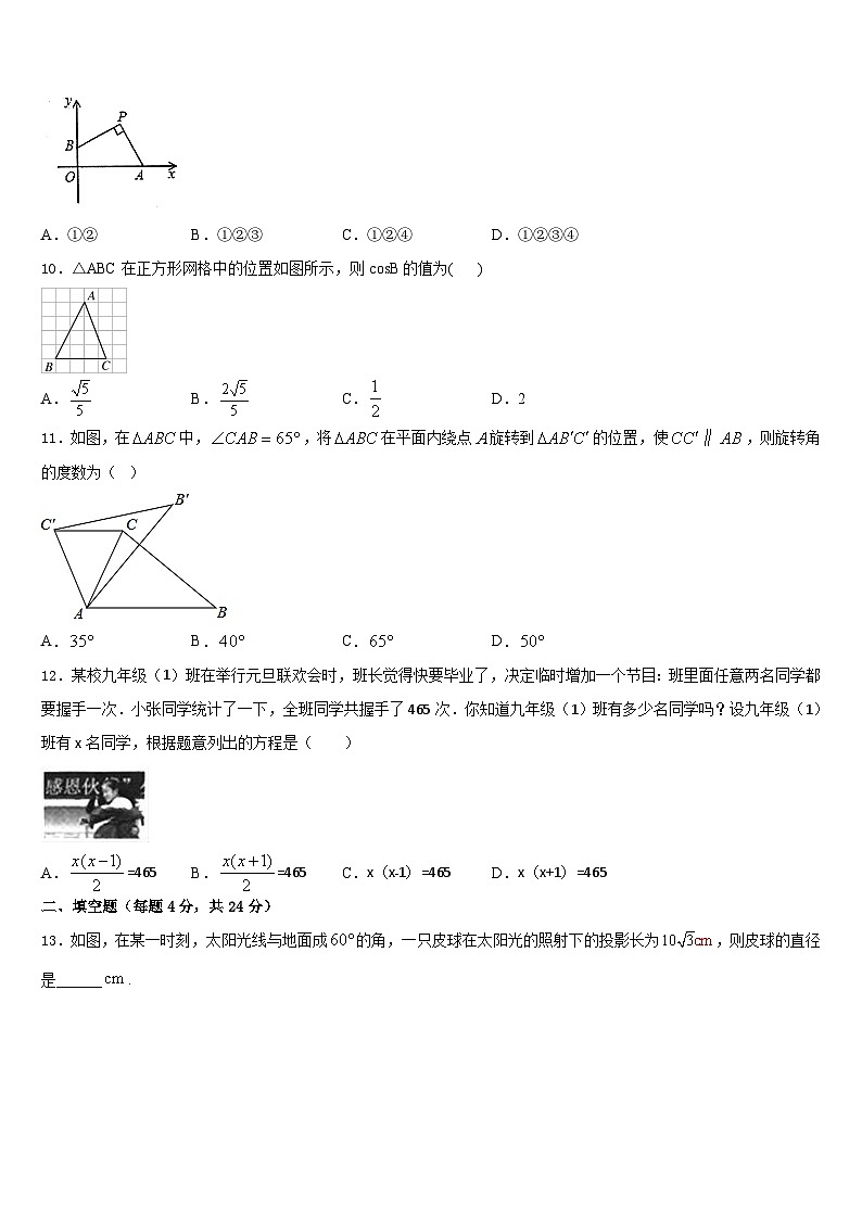 河南省开封市尉氏县2023-2024学年九年级数学第一学期期末教学质量检测试题含答案第3页
