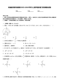 河南省洛阳市宜阳县2023-2024学年九上数学期末复习检测模拟试题含答案