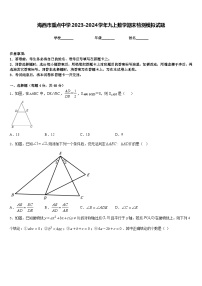 海西市重点中学2023-2024学年九上数学期末检测模拟试题含答案