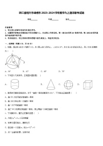 浙江省绍兴市嵊州市2023-2024学年数学九上期末联考试题含答案