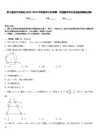 浙江省绍兴市海亮2023-2024学年数学九年级第一学期期末学业质量监测模拟试题含答案