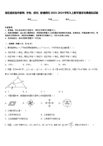 湖北省恩施市崔坝、沙地、双河、新塘四校2023-2024学年九上数学期末经典模拟试题含答案