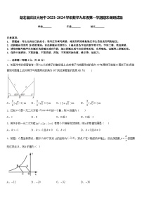 湖北省武汉大附中2023-2024学年数学九年级第一学期期末调研试题含答案