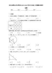 河北省唐山市乐亭县2023-2024学年九年级上学期期末数学试题(含答案)