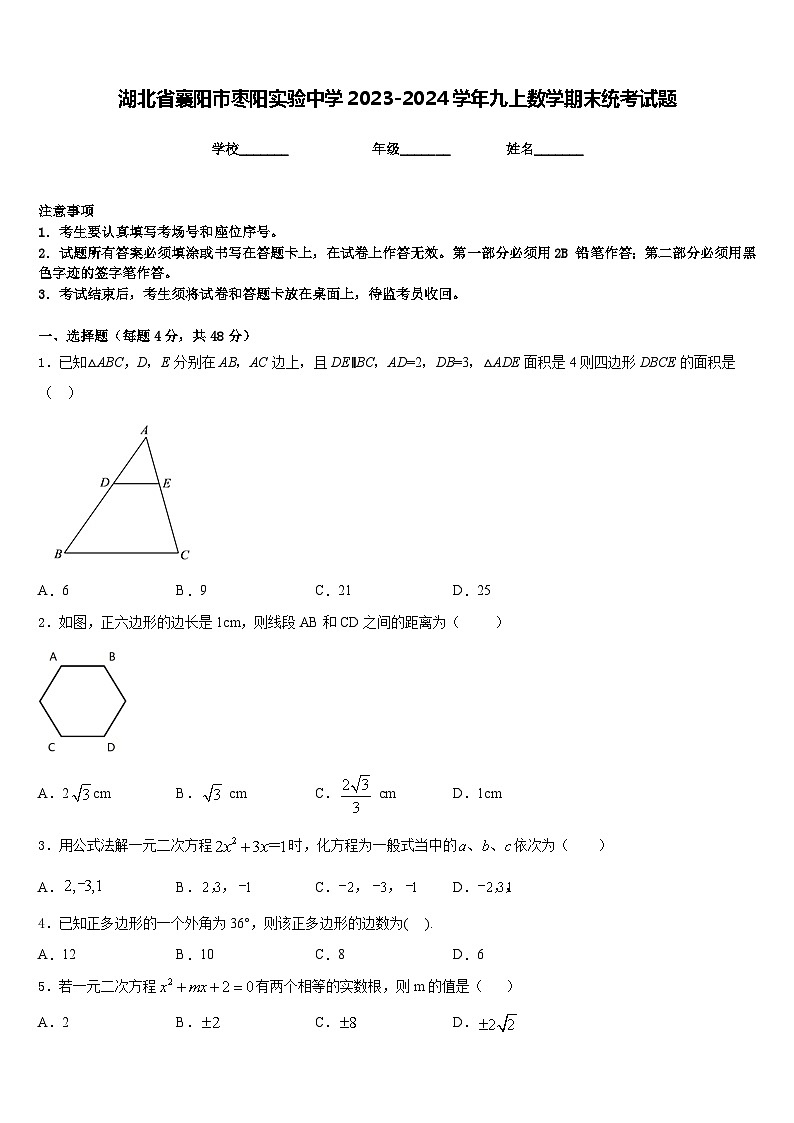 湖北省襄阳市枣阳实验中学2023-2024学年九上数学期末统考试题含答案01