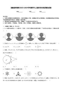 湖南省茶陵县2023-2024学年数学九上期末综合测试模拟试题含答案