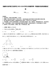 湖南师大附中博才实验学校2023-2024学年九年级数学第一学期期末质量检测模拟试题含答案