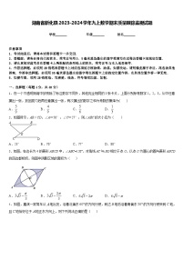 湖南省新化县2023-2024学年九上数学期末质量跟踪监视试题含答案