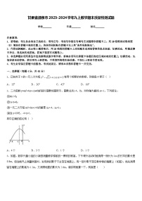 甘肃省酒泉市2023-2024学年九上数学期末质量检测试题含答案