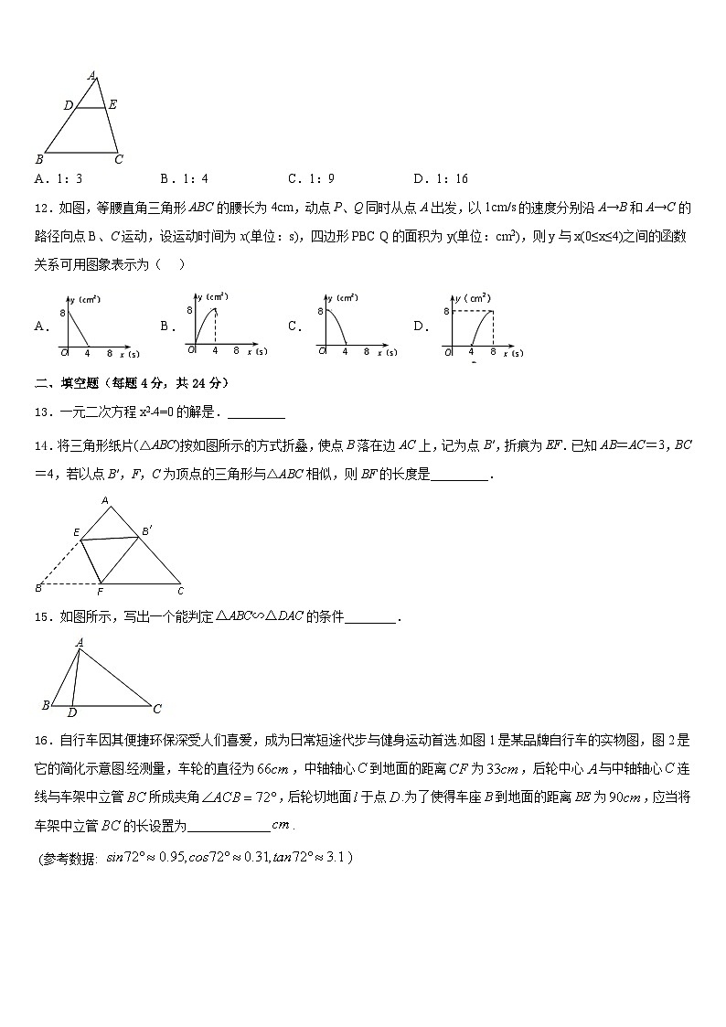 福建省泉州市泉港一中学、城东中学2023-2024学年数学九年级第一学期期末复习检测模拟试题含答案第3页