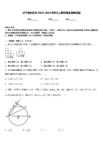 辽宁省丹东市2023-2024学年九上数学期末调研试题含答案