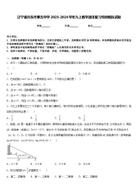 辽宁省丹东市第五中学2023-2024学年九上数学期末复习检测模拟试题含答案