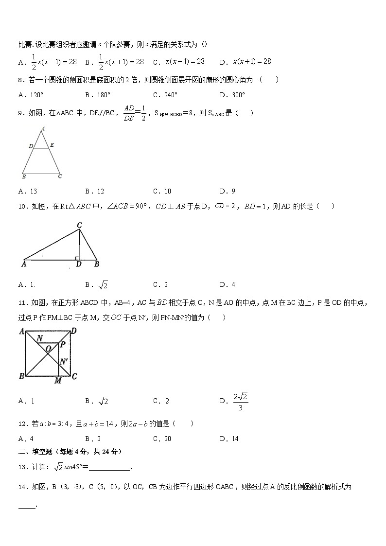 西双版纳市重点中学2023-2024学年数学九年级第一学期期末达标测试试题含答案第2页