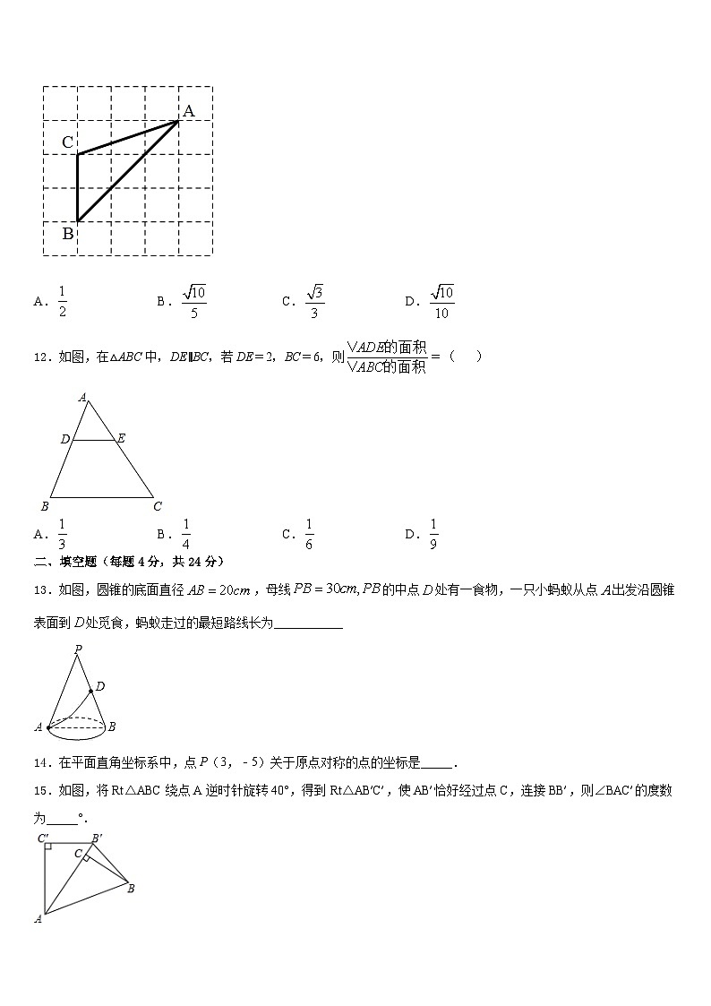 重庆开州区2023-2024学年九年级数学第一学期期末教学质量检测试题含答案03