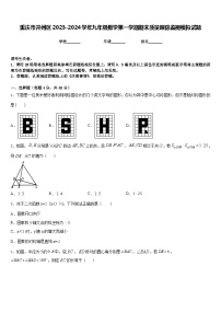 重庆市开州区2023-2024学年九年级数学第一学期期末质量跟踪监视模拟试题含答案