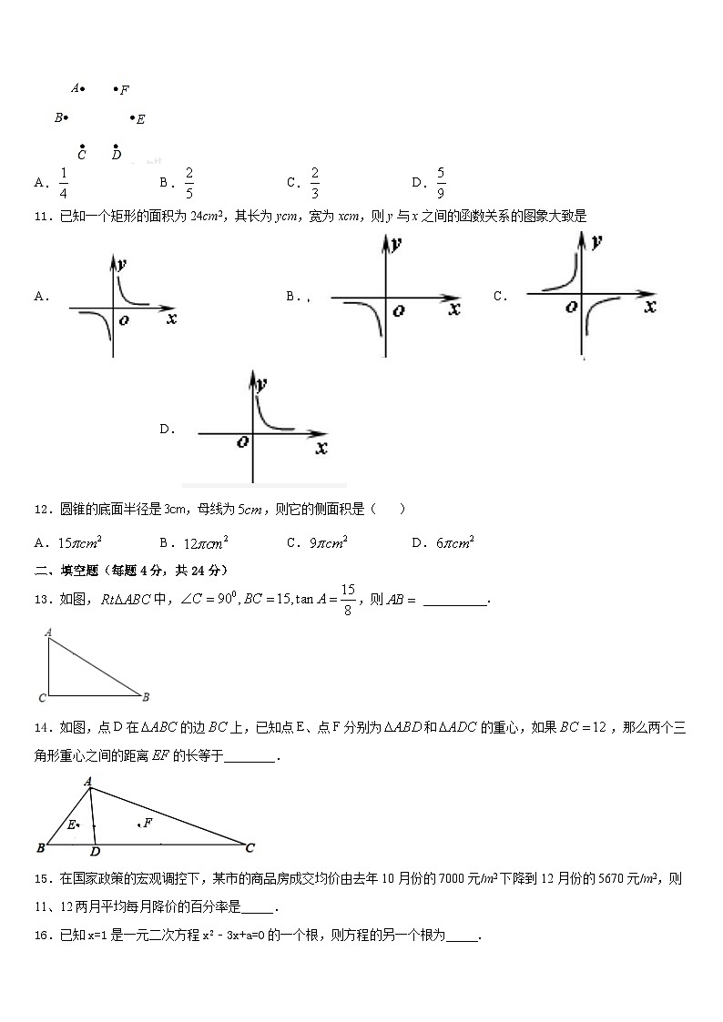 重庆市育才成功学校2023-2024学年数学九年级第一学期期末联考模拟试题含答案03
