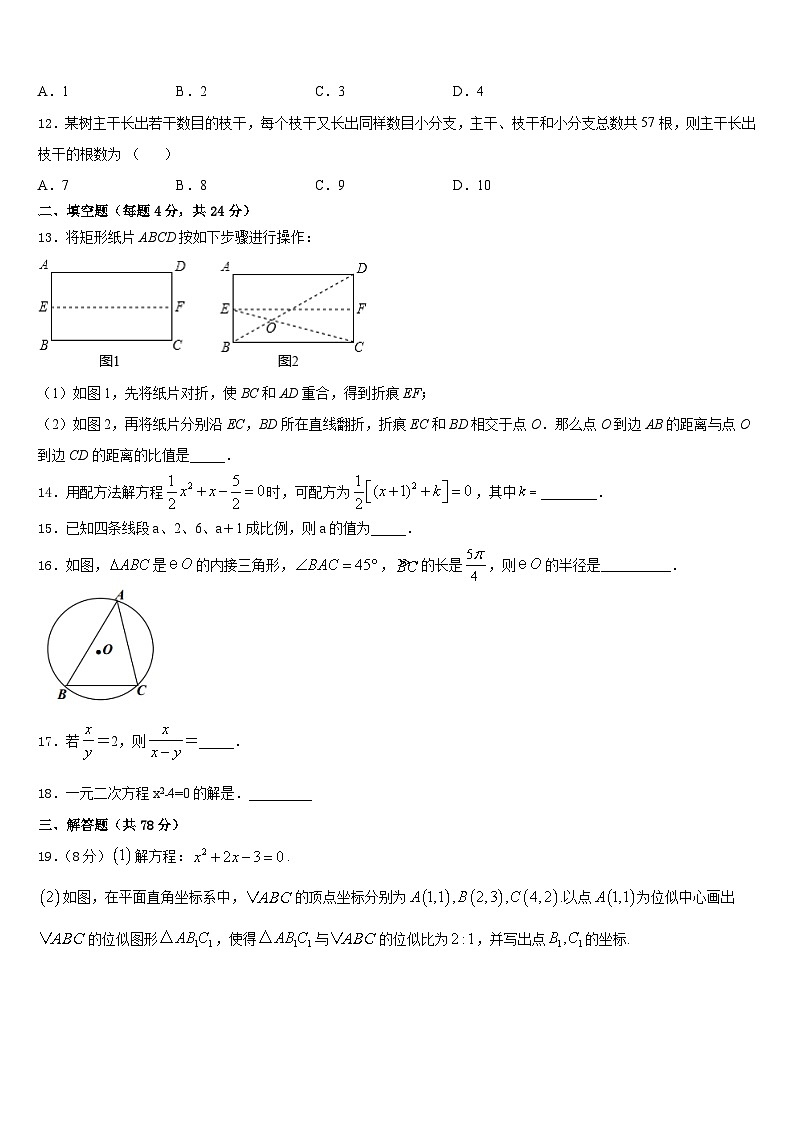 铜陵市重点中学2023-2024学年九上数学期末复习检测模拟试题含答案第3页