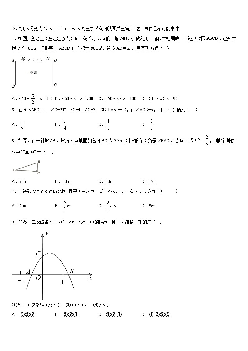 福建省平潭综合实验区七校联考2023-2024学年数学九年级第一学期期末学业水平测试试题含答案02