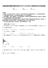 陕西省咸阳市秦都区咸阳市实验中学2023-2024学年九上数学期末学业水平测试试题含答案