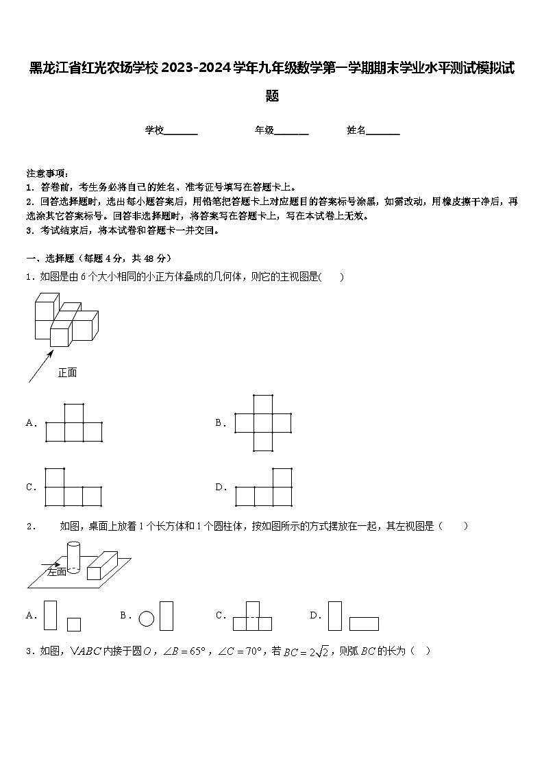 黑龙江省红光农场学校2023-2024学年九年级数学第一学期期末学业水平测试模拟试题含答案01