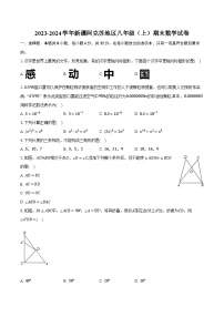 2023-2024学年新疆阿克苏地区八年级（上）期末数学试卷（含解析）