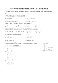 2023-2024学年安徽省宣城市九年级（上）期末数学试卷（含解析）