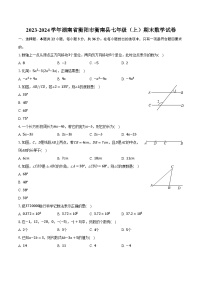 2023-2024学年湖南省衡阳市衡南县七年级（上）期末数学试卷（含解析）