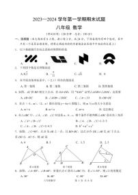 江苏省扬州市仪征市2023-2024学年八年级上学期期末数学试卷