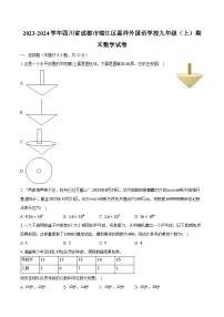 2023-2024学年四川省成都市锦江区嘉祥外国语学校九年级（上）期末数学试卷（含解析）