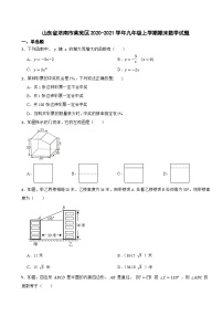 山东省济南市莱芜区2020-2021学年九年级上学期期末数学试题+